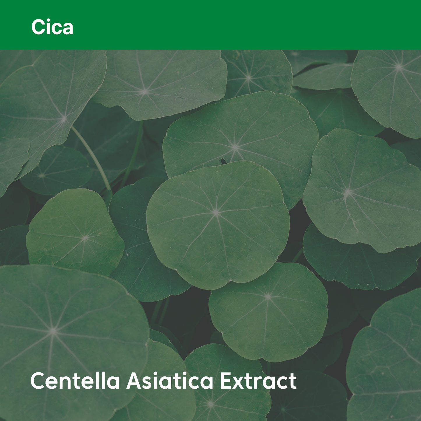 Phyto Relieful™ Cica Cream